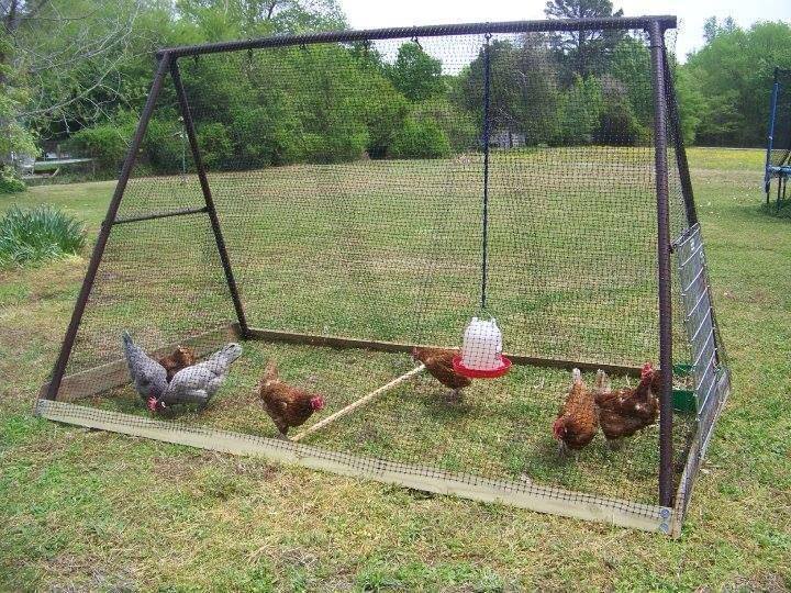 DIY Backyard Chicken Coop12