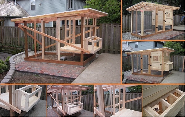 DIY Backyard Chicken Coop2