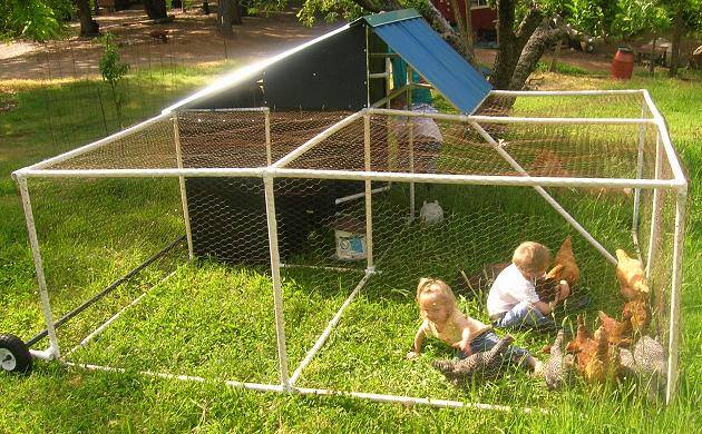 DIY Backyard Chicken Coop9