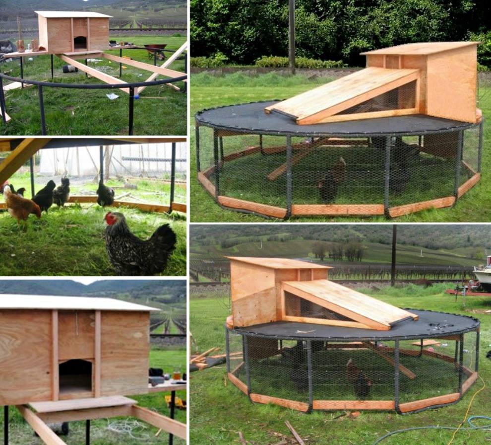 10+ DIY Backyard Chicken Coop Plans and Tutorial | www.FabArtDIY.com