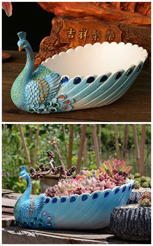 peacock succulent planter pot