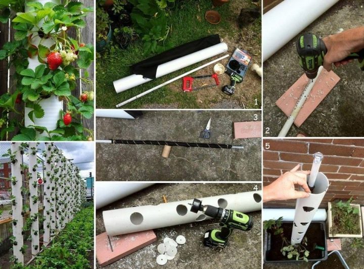 DIY Verticle PVC Pipe Strawberry Planter Tower