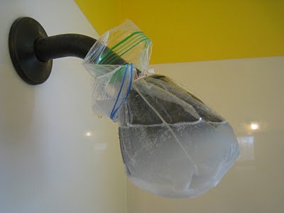 Homemade Shower Head Cleaner