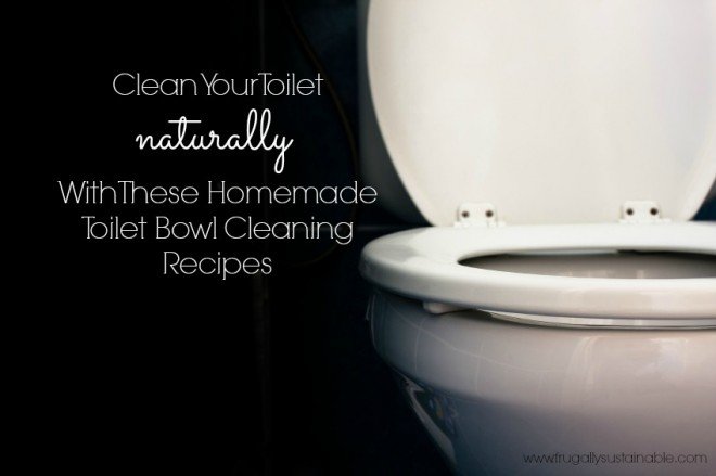 Homemade Toilet Bowl Cleaner