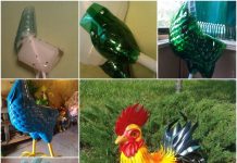 DIY Beautiful Cock from Recycled Plastic Bottles DIY Beautiful Cock from Recycled Plastic Bottles