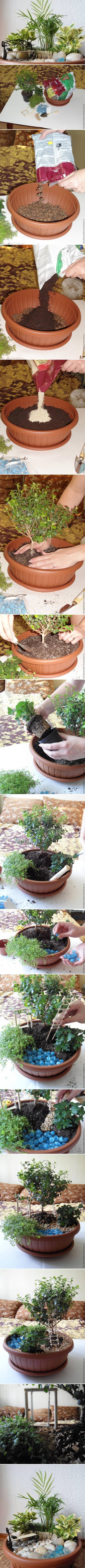 How-to-make-Pot-Mini-Garden-step-by-step-DIY-tutorial-instructions-512x9353