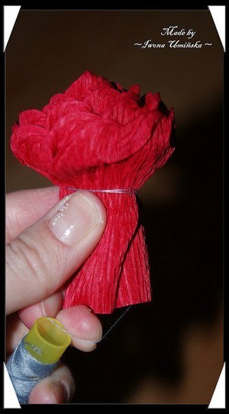 Crepe-paper-flower-ball08.jpg