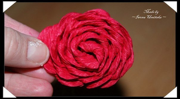 Crepe-paper-flower-ball09.jpg