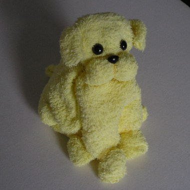 Cute puppy from towel01