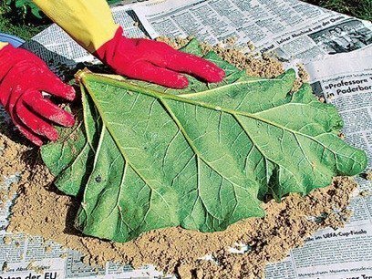 DIY-Sand-Cast-Birdbath-in-Leaf-Shape04.jpg