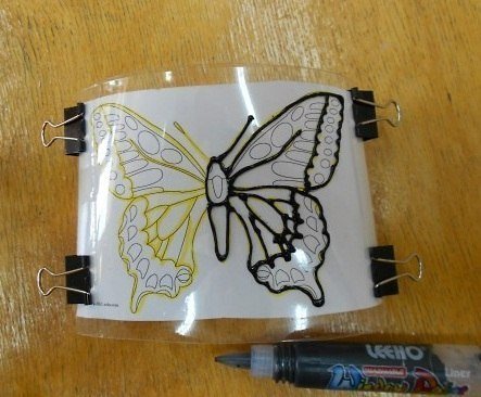 butterfly-from-bottle3.jpg