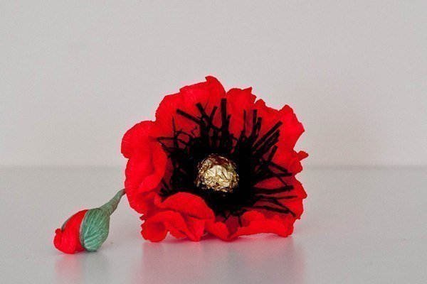 chocolate-paper-poppies01.jpg