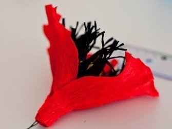 chocolate-paper-poppies07.jpg