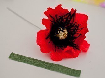 chocolate-paper-poppies08.jpg