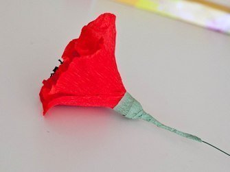 chocolate-paper-poppies09.jpg