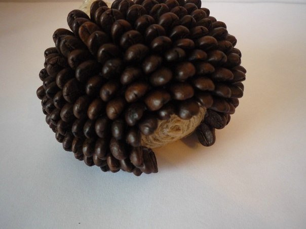 diy-cute-coffeebean-hedgehog06.jpg