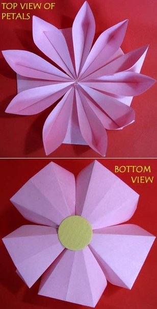 lovely-paper-lotus7.jpg