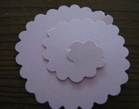 paper-flower-wallart01.jpg