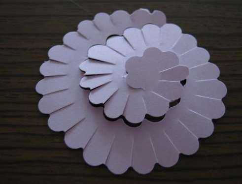 paper-flower-wallart02.jpg