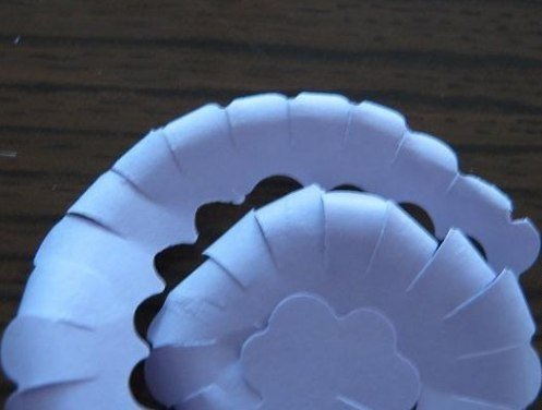 paper-flower-wallart03.jpg