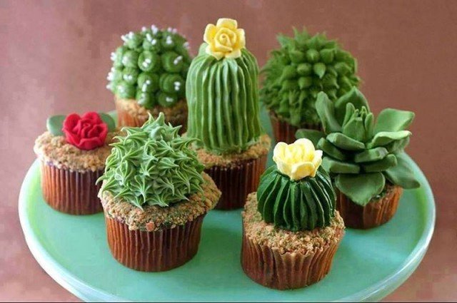 DIY House Plant Cupcakes - Cactus Cupcakes