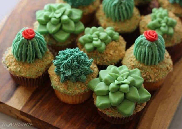 DIY House Plant Cupcakes - Cactus Cupcakes
