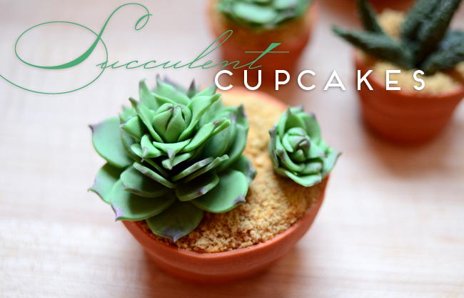 DIY House Plant Cupcakes - Succulent Cupcakes