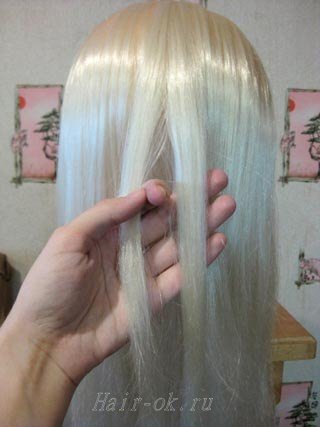 braided-fishtail-hairstyle02.jpg