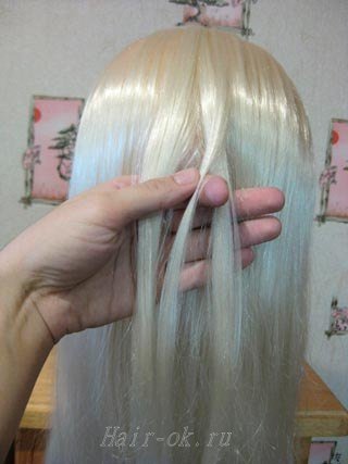 braided-fishtail-hairstyle03.jpg