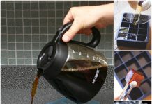 How to DIY Coffee Ice Cubes for Your Iced Coffee chocolate ice cube