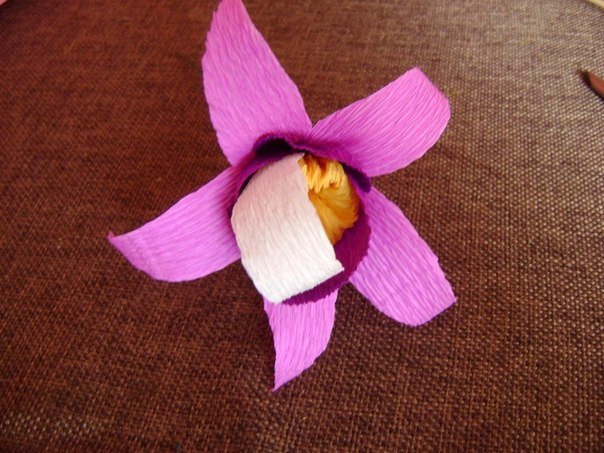 crepe-paper-orchid09.jpg