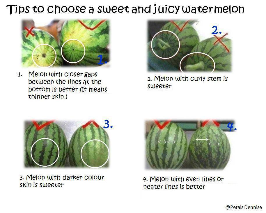 how to pick watermelon