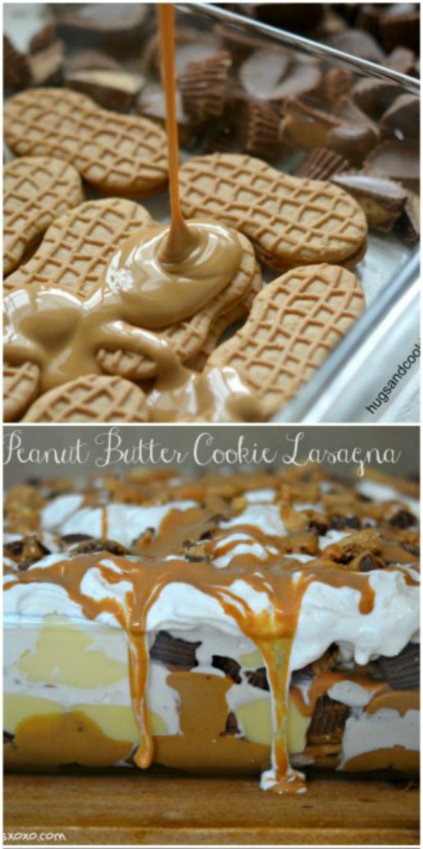 DIY No Bake Peanut Butter Cookie Lasagna Recipe