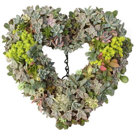 DIY Hanging Succulent Ball for your Garden step by step instructions