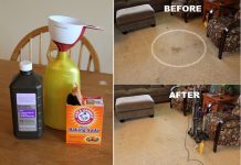 How to DIY Magic 2-Ingredient Carpet Cleaner How to DIY Magic 2-Ingredient Carpet Cleaner