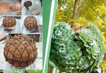 DIY Hanging Succulent for your Garden Wire 2 Garden Baskets together and create a gorgeous Succulent Ball!
