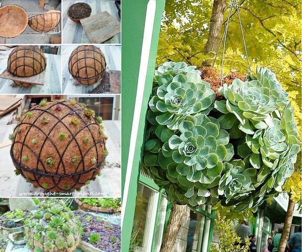 Wire 2 Garden Baskets together and create a gorgeous Succulent Ball!