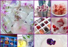 Fab Ideas on DIY Edible Flower and Fruit Ice Tubes creative ideas on ice cubes