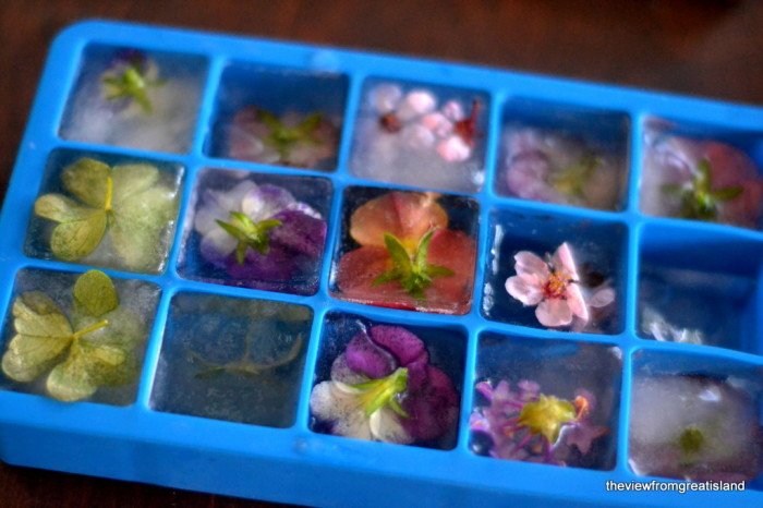 creative-ideas-on-ice-cubes00.jpg