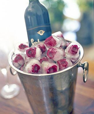 creative-ideas-on-ice-cubes01.jpg