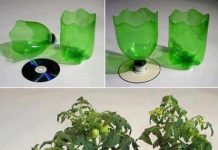 How to DIY Cup Planter from Plastic Bottles cup planter from plastic bottles