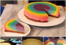 How to DIY Awesome Rainbow Cheesecake (Video) fabartdiy rainbow cheesecake tutorial