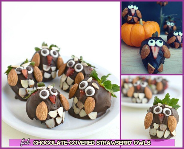 DIY Chocolate Covered Strawberry Owl Dessert Recipe