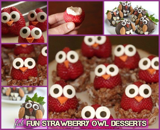 DIY Strawberry Owl / Owl Strawberry Dessert Recipe