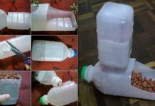 How to DIY Homemade Pet Feeder from Plastic Bottles How to DIY Homemade Pet Feeder from Plastic Bottles