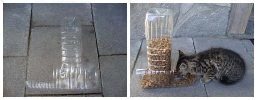 How to DIY Homemade Pet Feeder from Plastic Bottles5