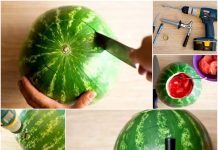 How to DIY Spiked Watermelon Cocktail Keg watermelon cocktail dispenser