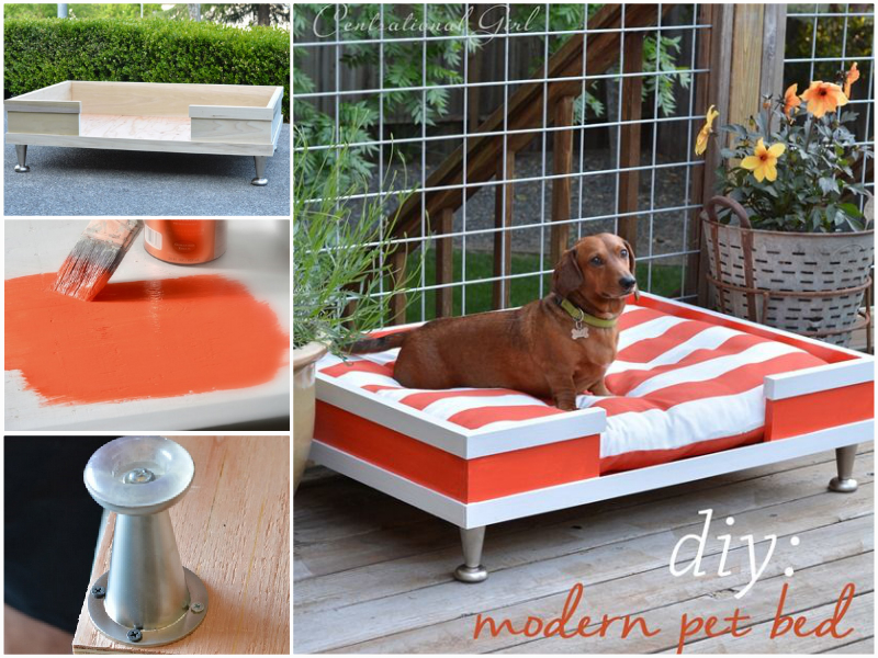 DIY Modern Wood Pet Bed