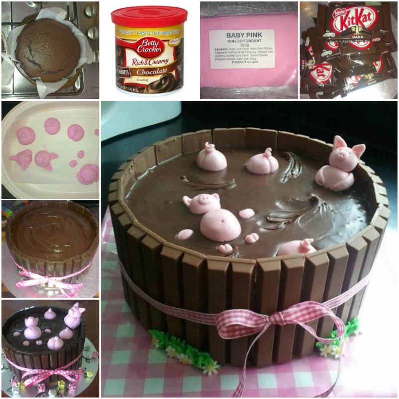 DIY Pig in Mud Cake