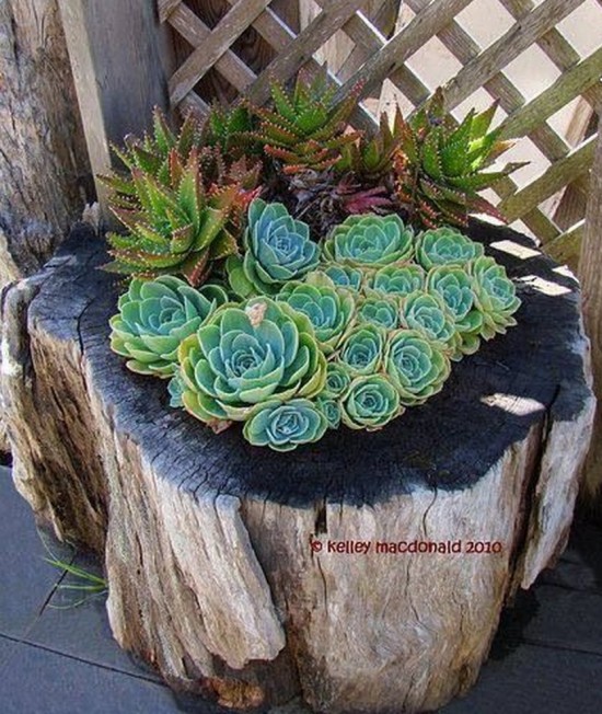 How to DIY Tree Stump Planter tutorial